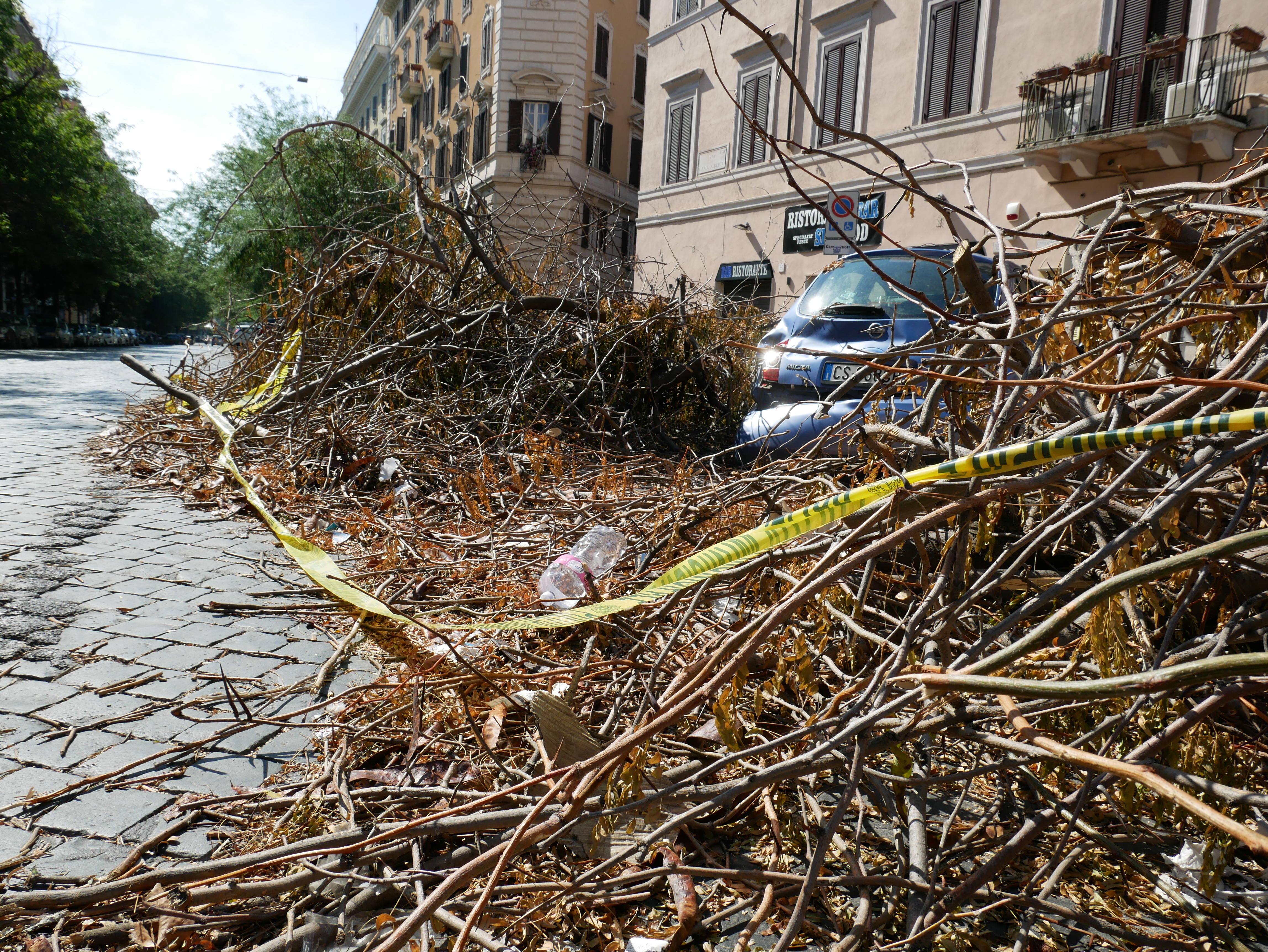 L’auto bloccata dai rami