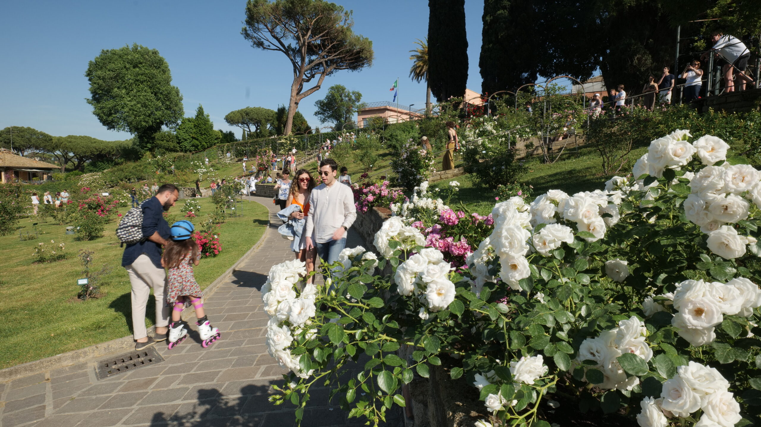 Le rose al Roseto di Roma