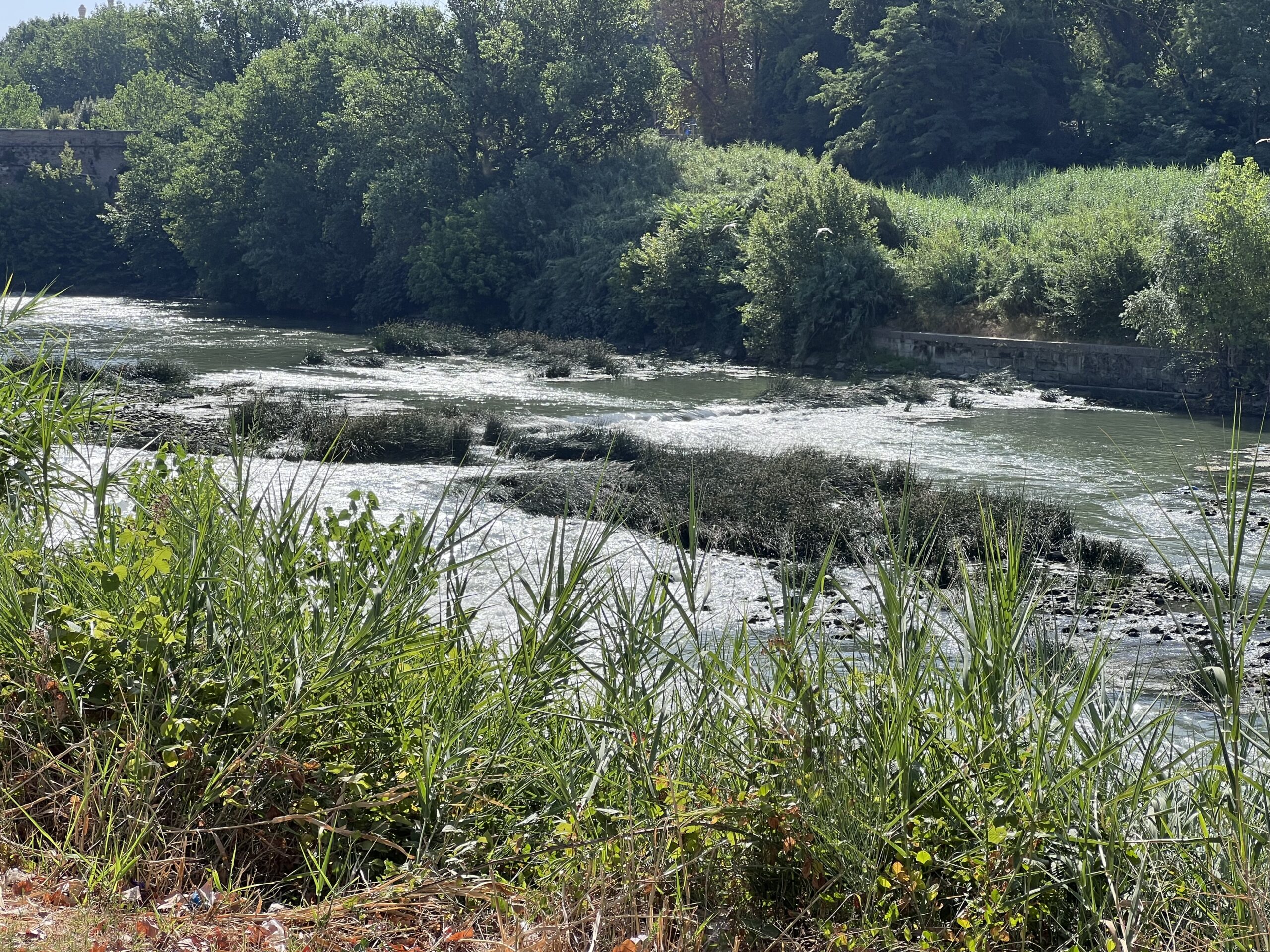 Il Tevere in secca