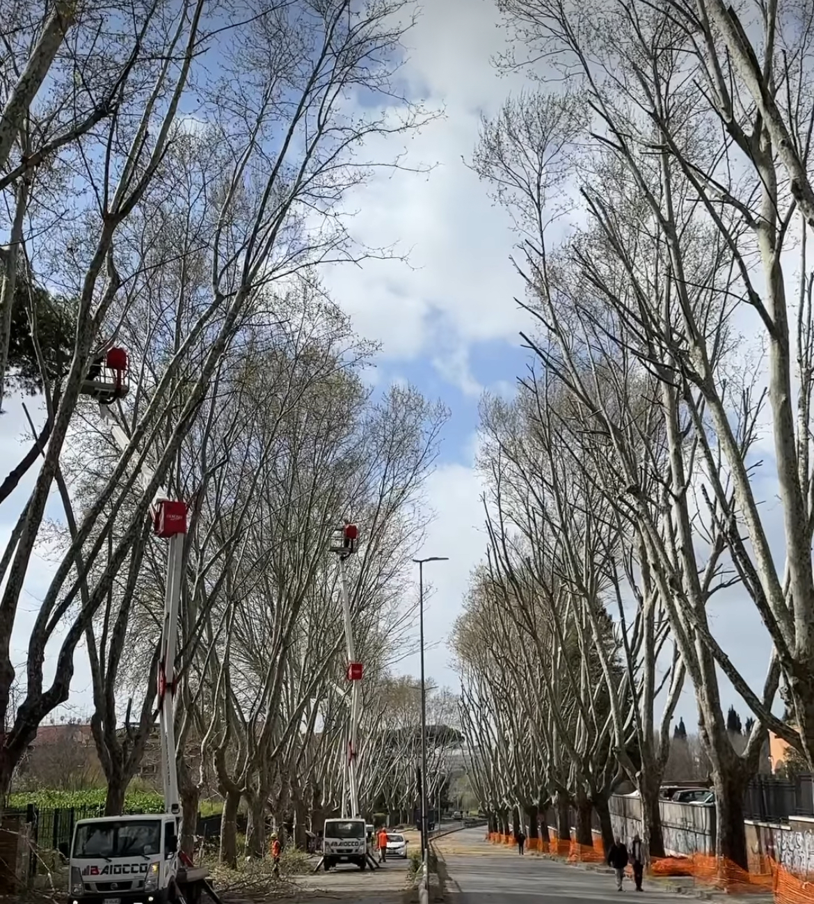 Potature a via Cilicia