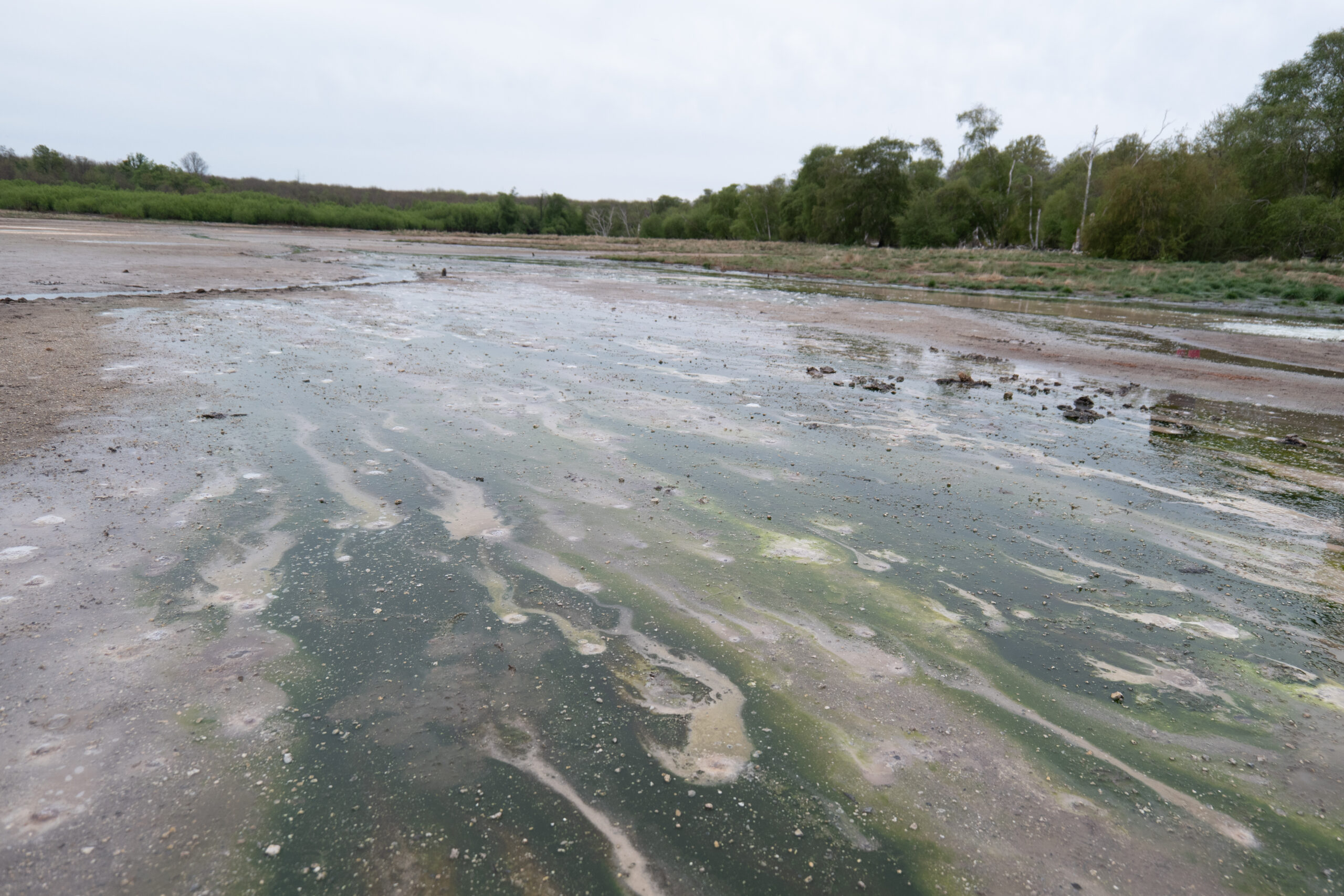 La Caldara di Manziana